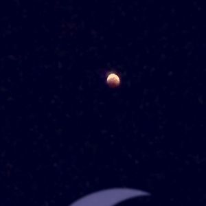 Meet your Posher, Ilda